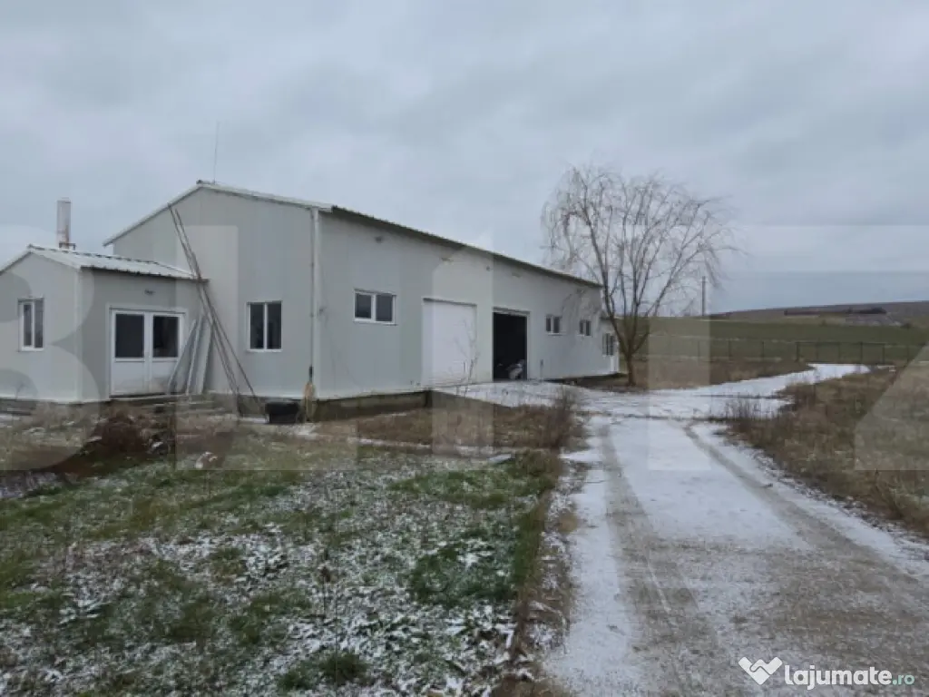 Hala industriala/comerciala, 190 mp, teren 2460 mp, Vulpeni