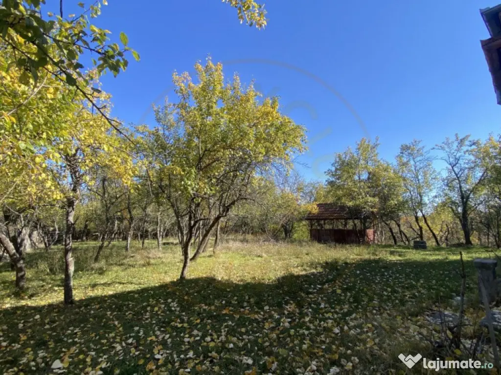 Casa+teren 2713 mp in loc. Babana, jud. Arges. Comision 0% 