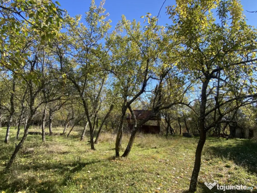 Casa+teren 2713 mp in loc. Babana, jud. Arges. Comision 0% 