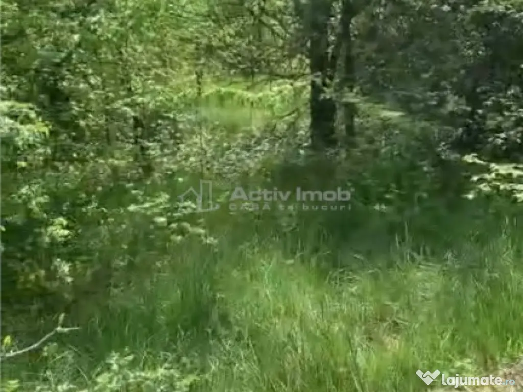 Teren intravilan 500 mp - Ganeasa 