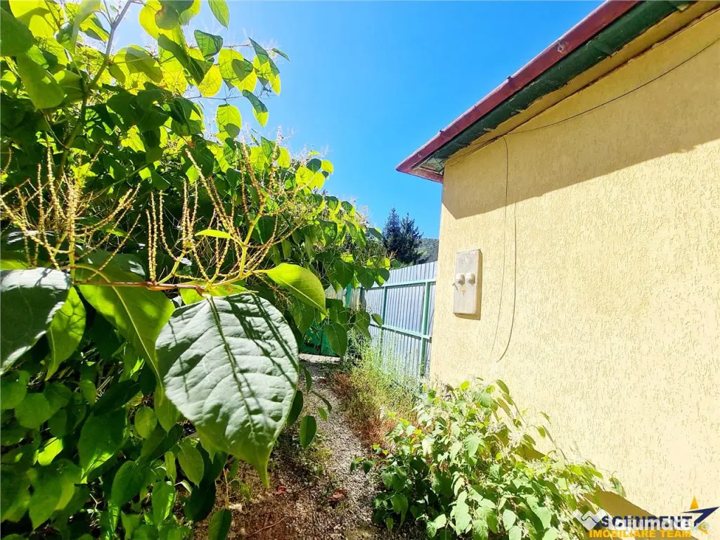 Spatiu pretabil activitati - birouri ateliere copii etc. acc