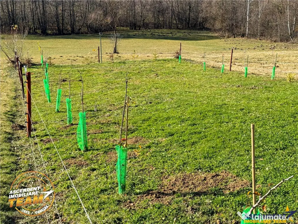 FILM! Teren extravilan 682 mp rulota, Floroaia, Intorsura 