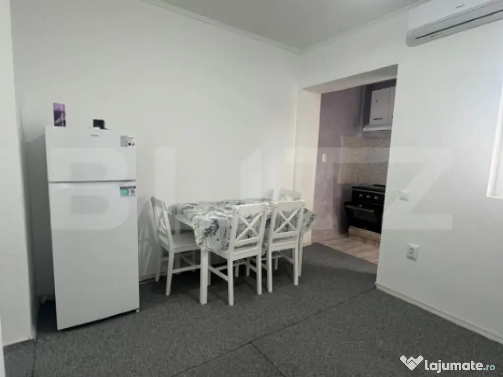 Apartament 1 camera CIUREA