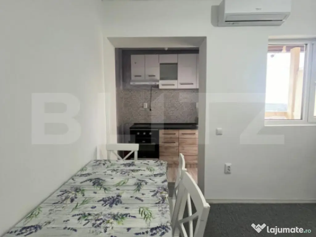 Apartament 1 camera CIUREA