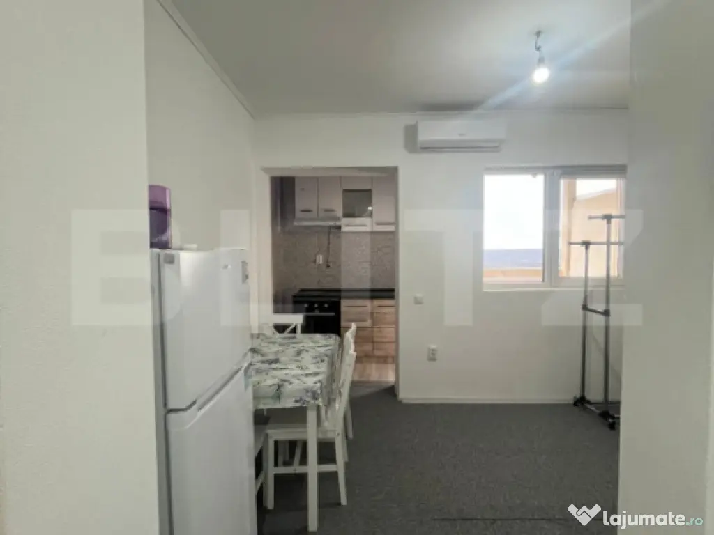 Apartament 1 camera CIUREA