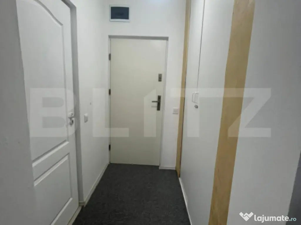 Apartament 1 camera CIUREA