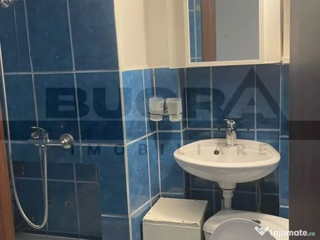 Apartament 2 camere, 30 mp, zona Albac 