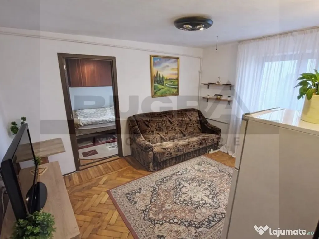 Apartament 2 camere, 30 mp, zona Albac 