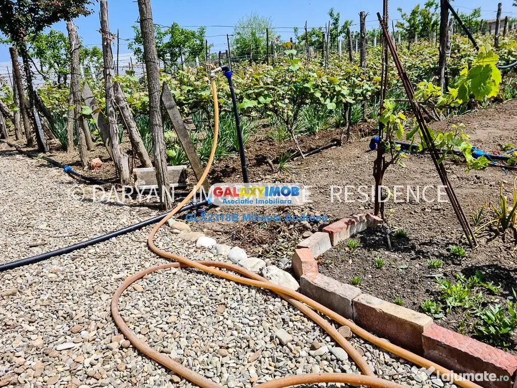 Teren in Poienari Apostoli, 21 E/mp, Avantajos, DN1, 34.500 
