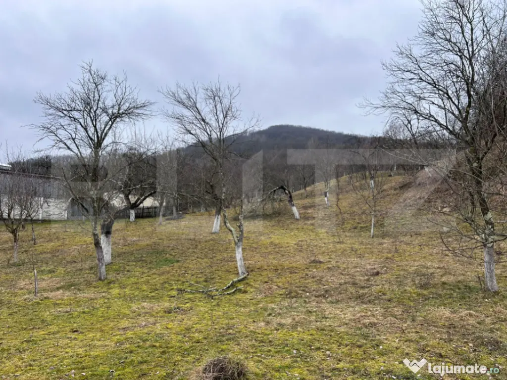 Teren intravilan 3.709 mp, Geoagiu de Sus, Stremț