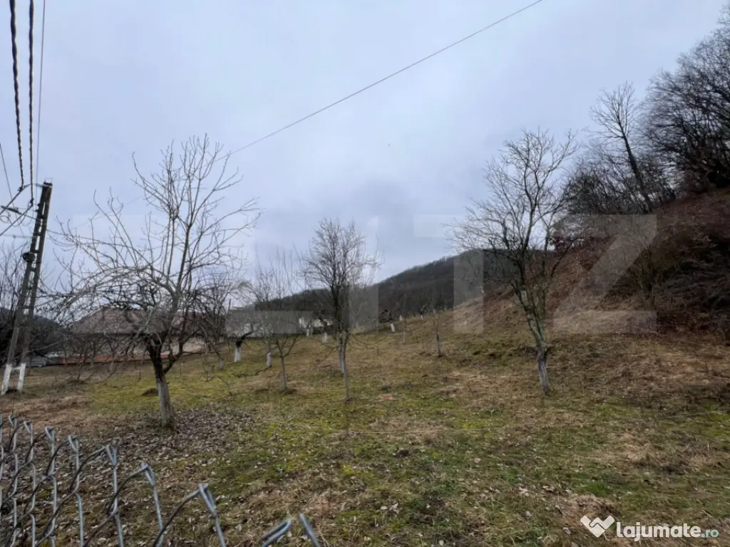 Teren intravilan 3.709 mp, Geoagiu de Sus, Stremț