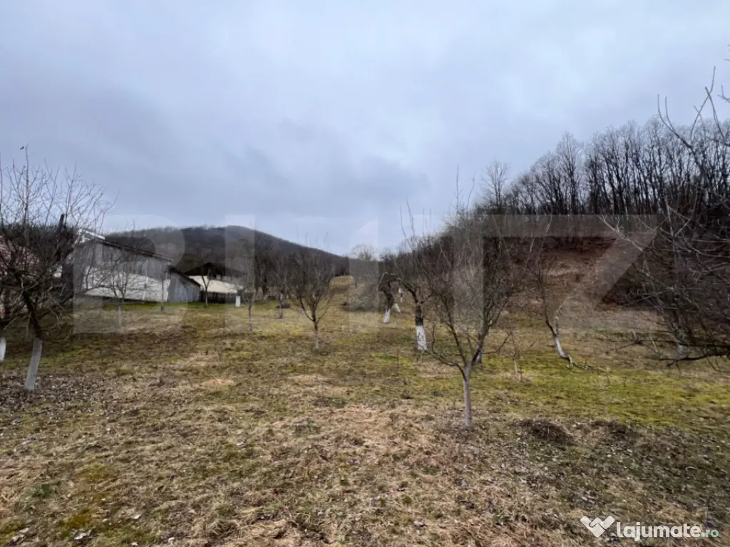 Teren intravilan 3.709 mp, Geoagiu de Sus, Stremț