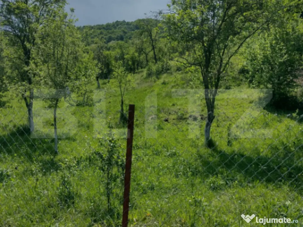 Teren intravilan 3.709 mp, Geoagiu de Sus, Stremț