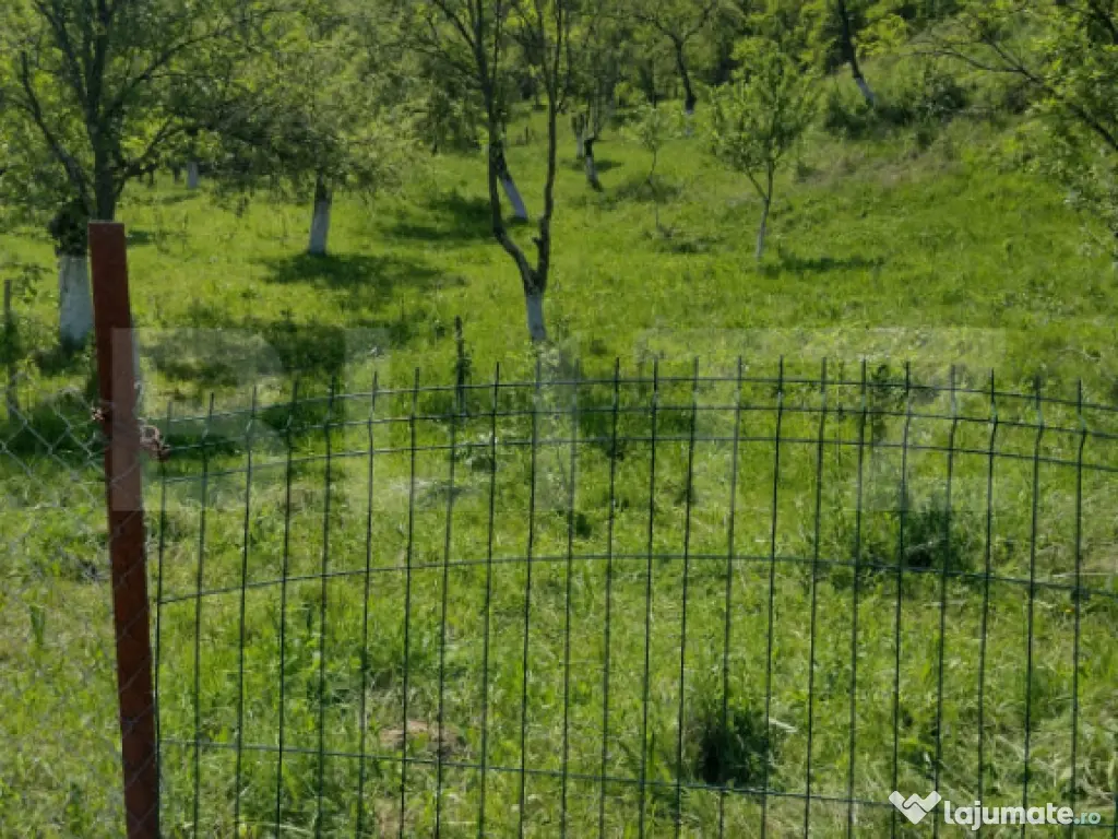 Teren intravilan 3.709 mp, Geoagiu de Sus, Stremț