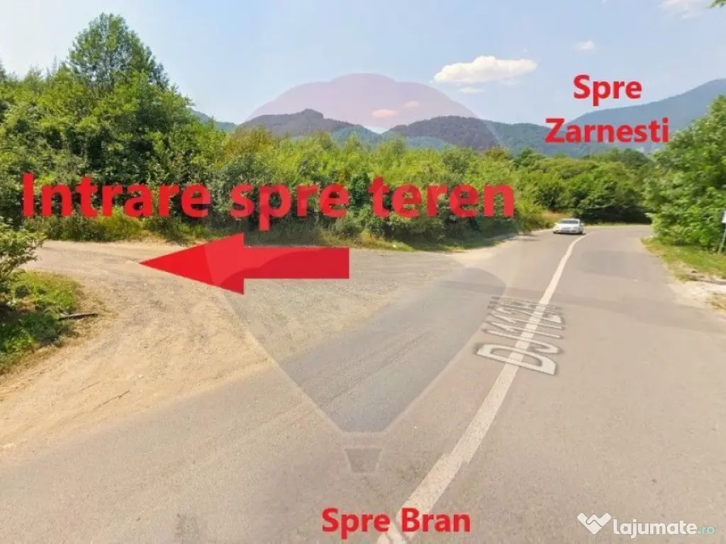 Teren Bran-Zarnesti - Tohanita, 4223mp