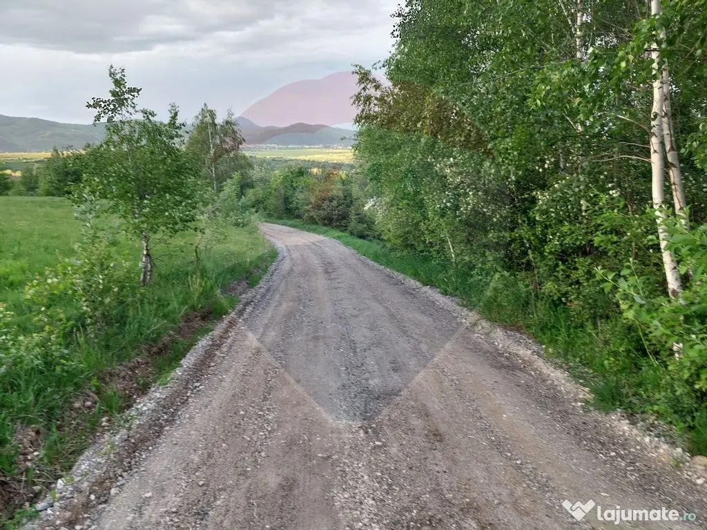 Teren Bran-Zarnesti - Tohanita, 4223mp