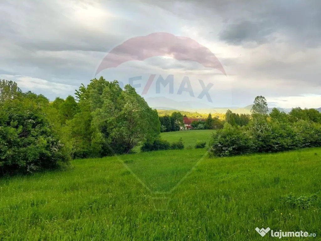 Teren Bran-Zarnesti - Tohanita, 4223mp