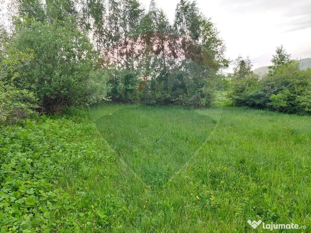Teren Bran-Zarnesti - Tohanita, 4223mp