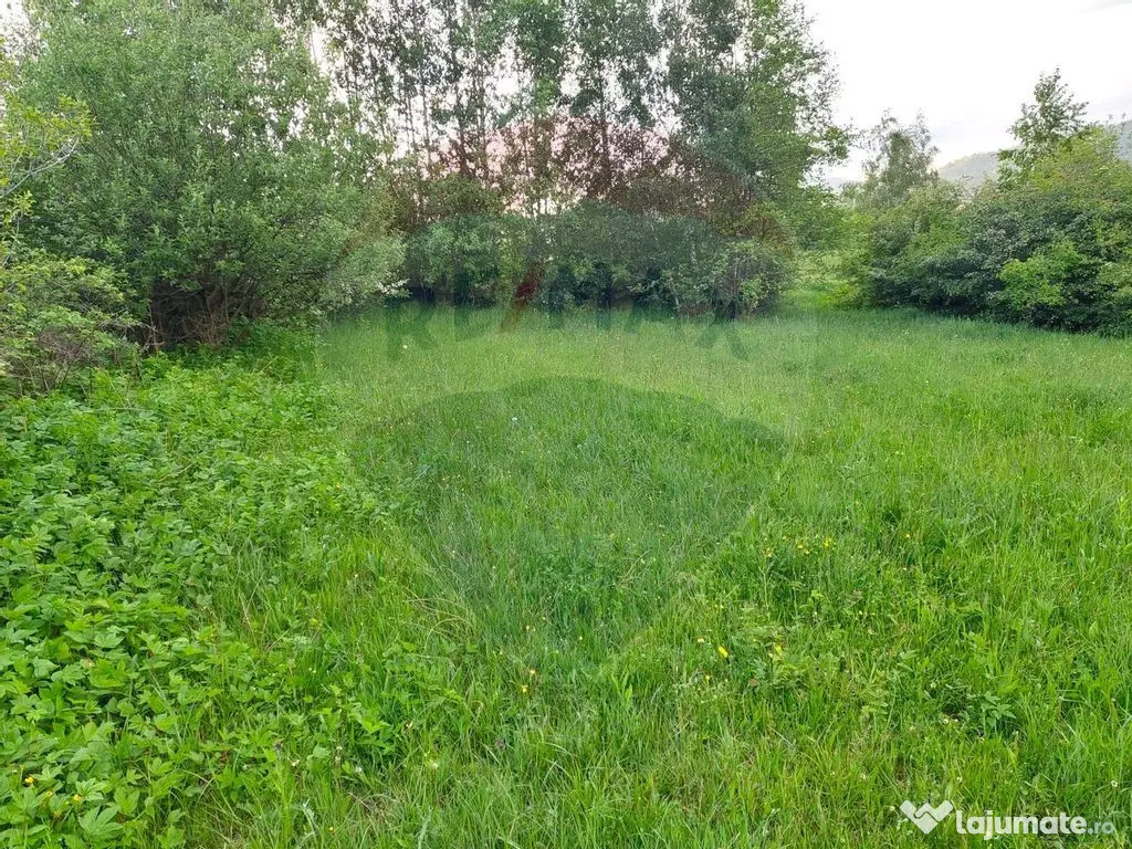 Teren Bran-Zarnesti - Tohanita, 4223mp