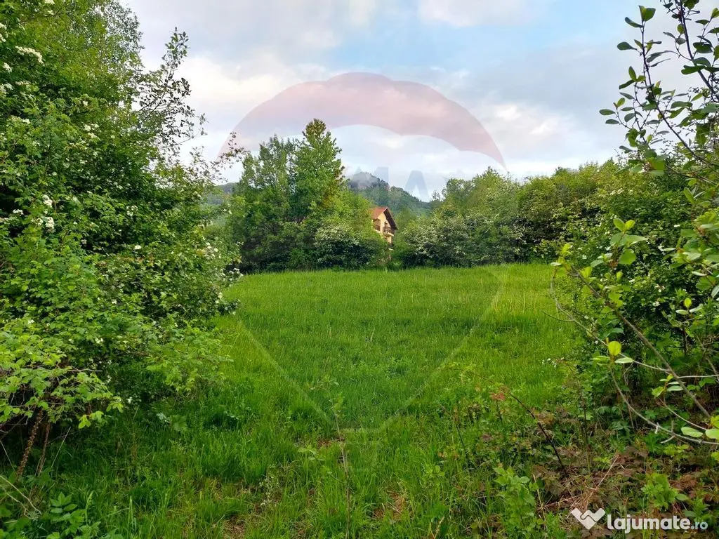 Teren Bran-Zarnesti - Tohanita, 4223mp