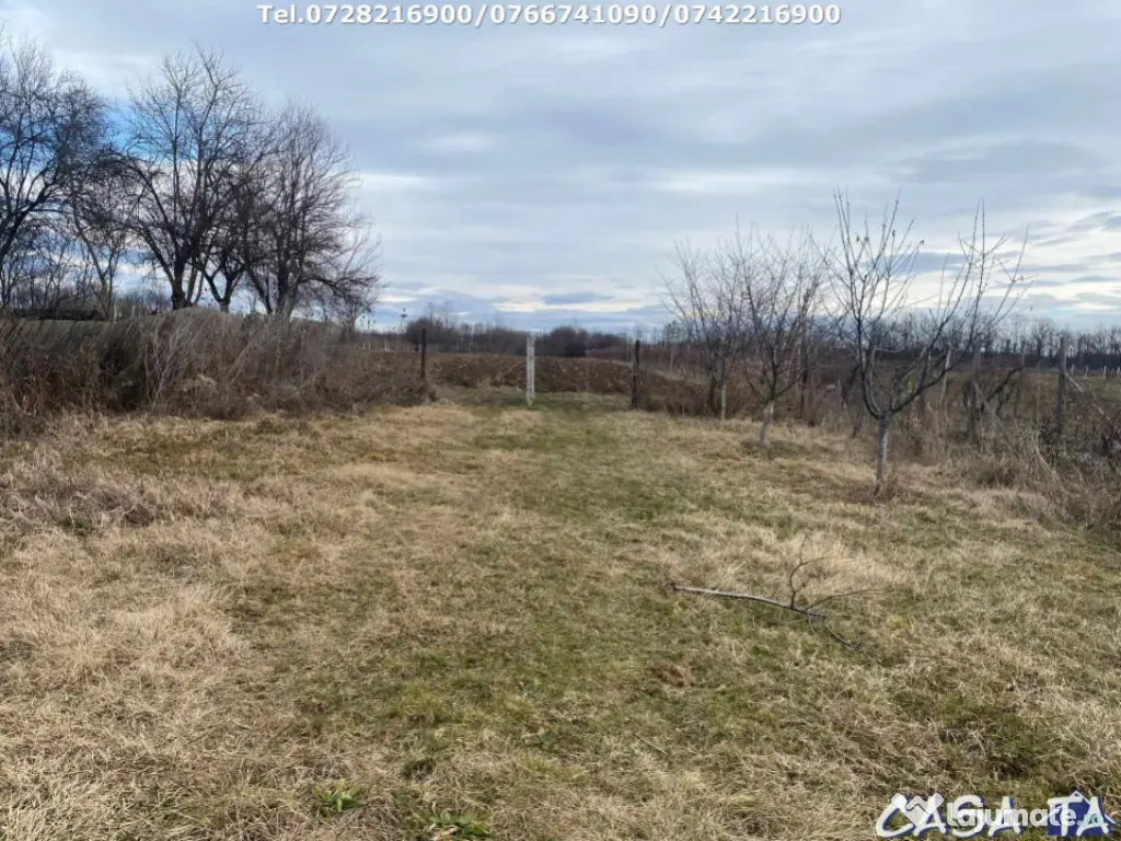 Casa situata în orasul Târgu-Carbunesti , Localitatea Flor