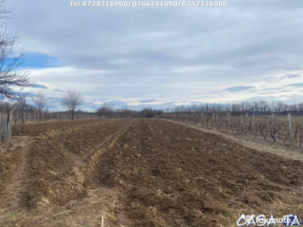 Casa situata în orasul Târgu-Carbunesti , Localitatea Flor