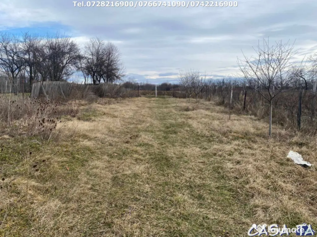 Casa situata în orasul Târgu-Carbunesti , Localitatea Flor