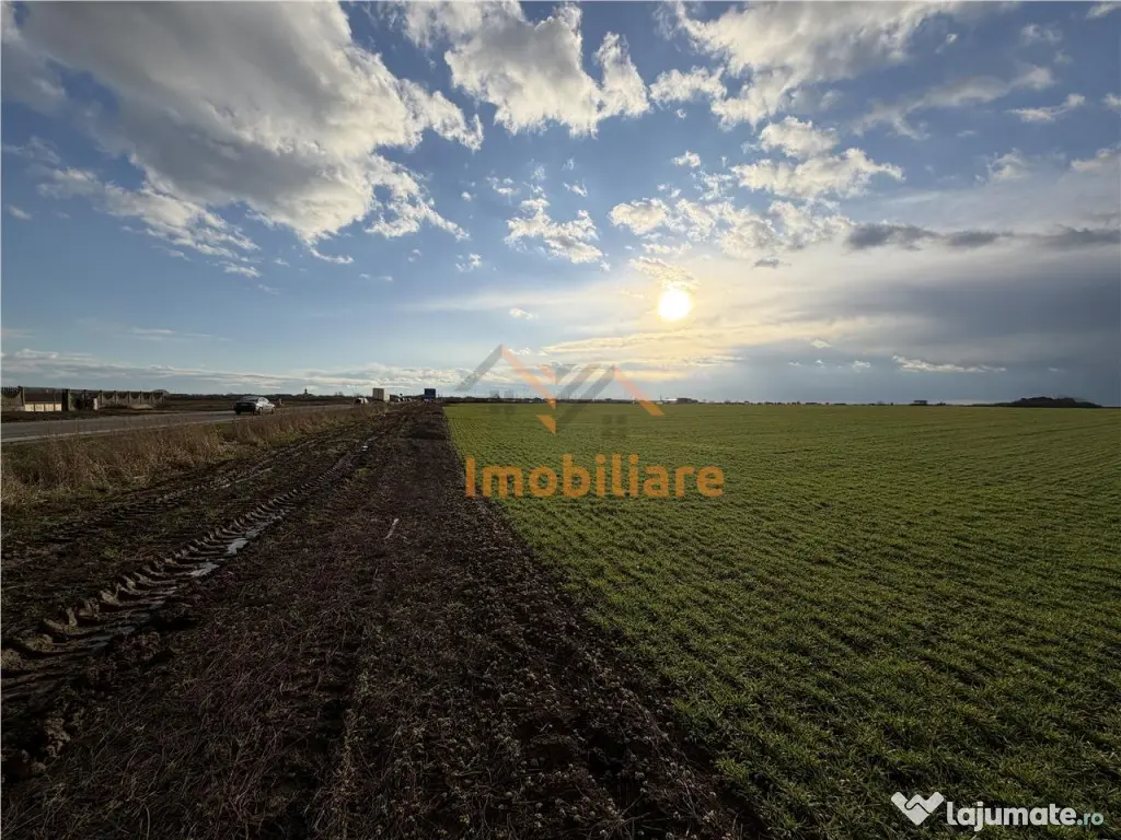 TEREN INTRAVILAN 24457 MP | 80 ML FRONT STRADAL | ORADEA | B 