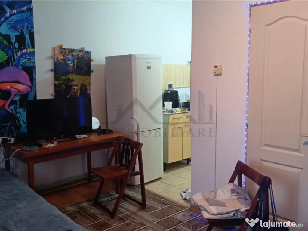 Apartament 1 camera Frumoasa - Manta Rosie 