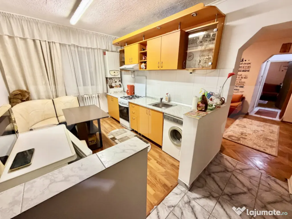 Apartament 2 camere,58 mp,mobilat complet,Sebes 