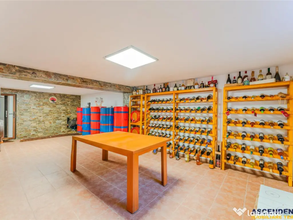 FILM! Edificiu cu identitate arhitecturala, 700mp teren, gar