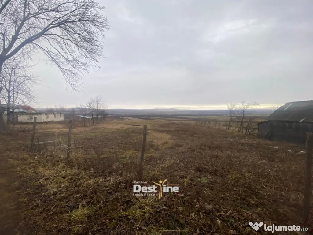 Teren de vanzare Gura Vaii 27.500 Euro 7639MP 