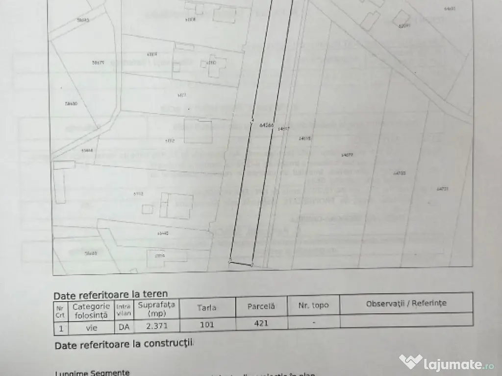 Teren intravilan cu vie la sosea