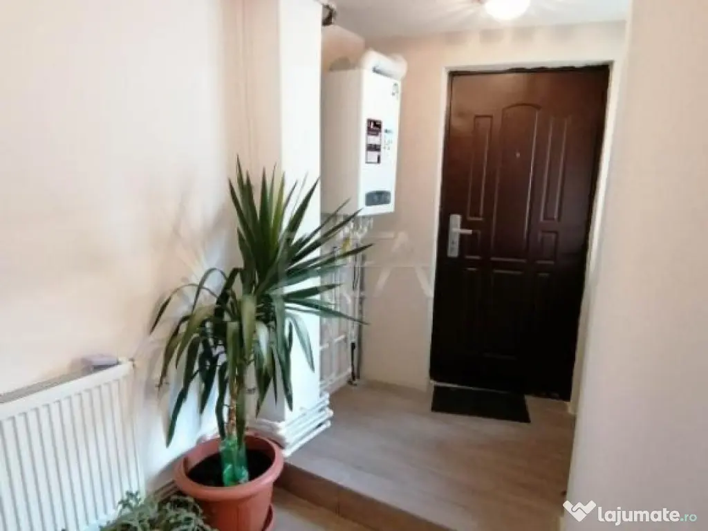 Vila 8 camere, Mosilor 