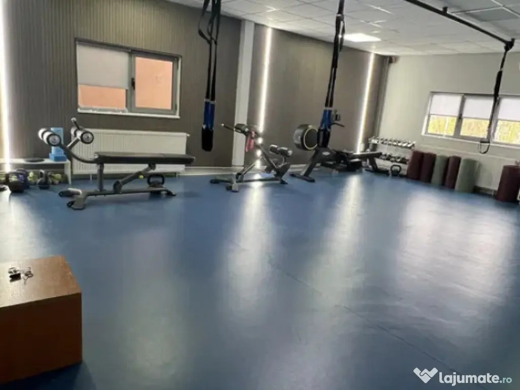 Spatiu comercial P+1 440mp, Brazda lui Novac 