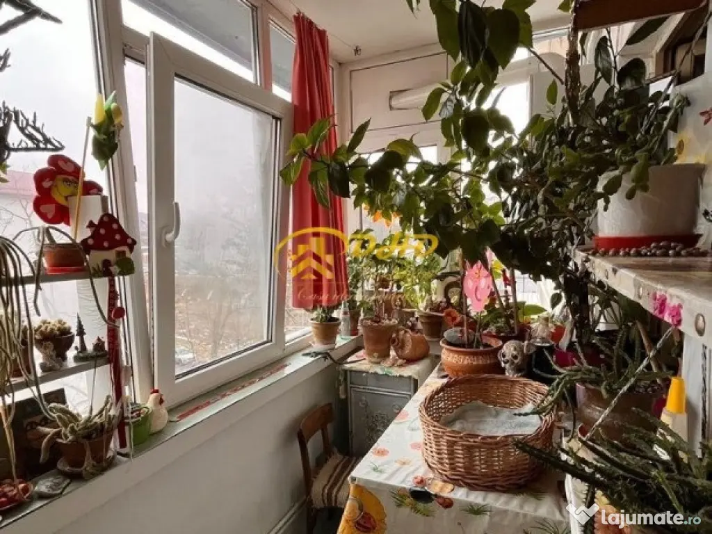 Apartament 3 camere Nicolina