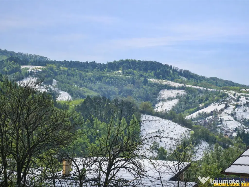 Un colt de liniste la poalele Tampei, Schei - Casuta singur 