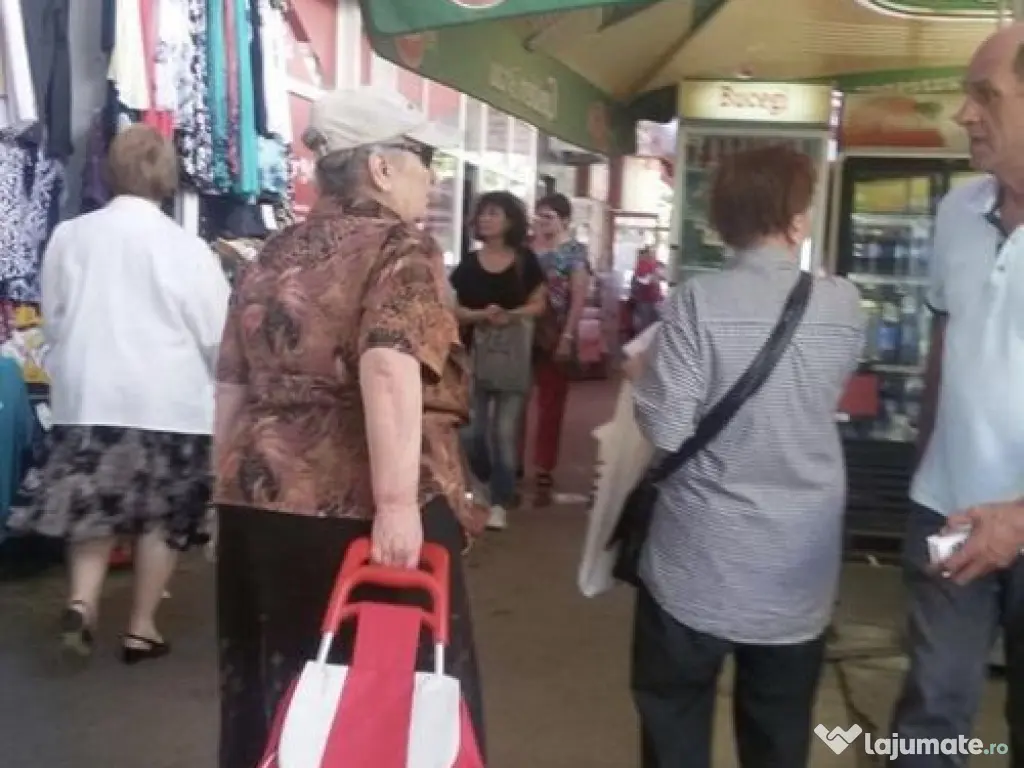 Spatiu comercial zona Titan, Piata Minis