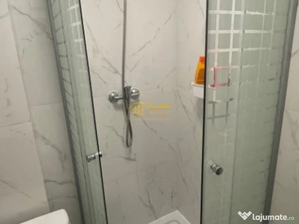 Ap. 2 camere - Bucșinescu 