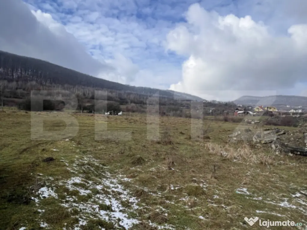 Comision 0 -Teren intravilan 20 arii acces DN15, Viisoara 