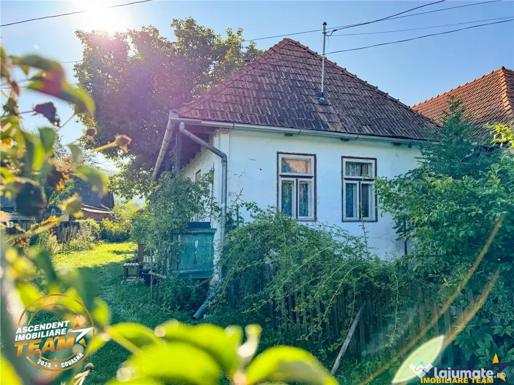 FILM! Proprietate traditionala,de poveste,cu 3.000 mp teren 