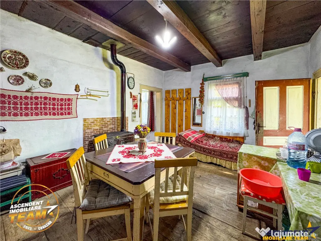 FILM! Proprietate traditionala,de poveste,cu 3.000 mp teren 