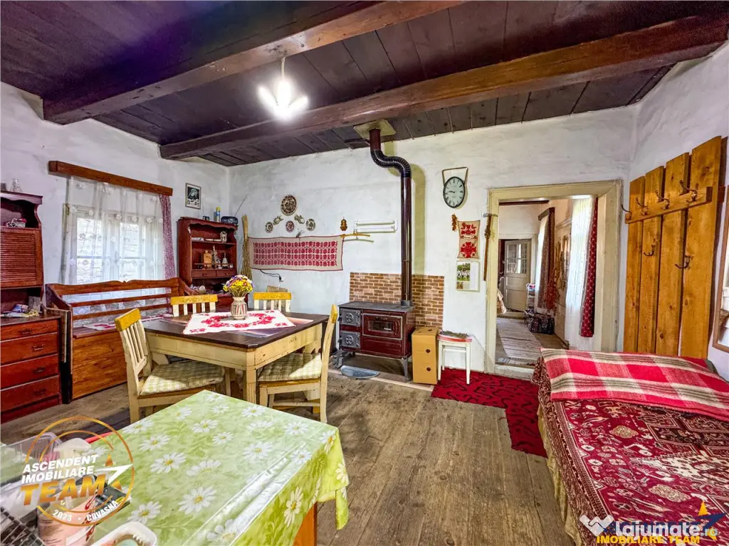 FILM! Proprietate traditionala,de poveste,cu 3.000 mp teren 