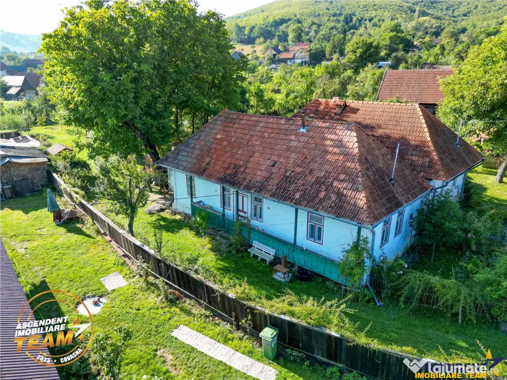 FILM! Proprietate traditionala,de poveste,cu 3.000 mp teren 