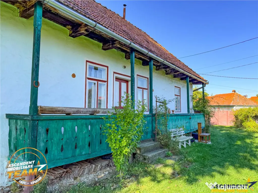 FILM! Proprietate traditionala,de poveste,cu 3.000 mp teren 