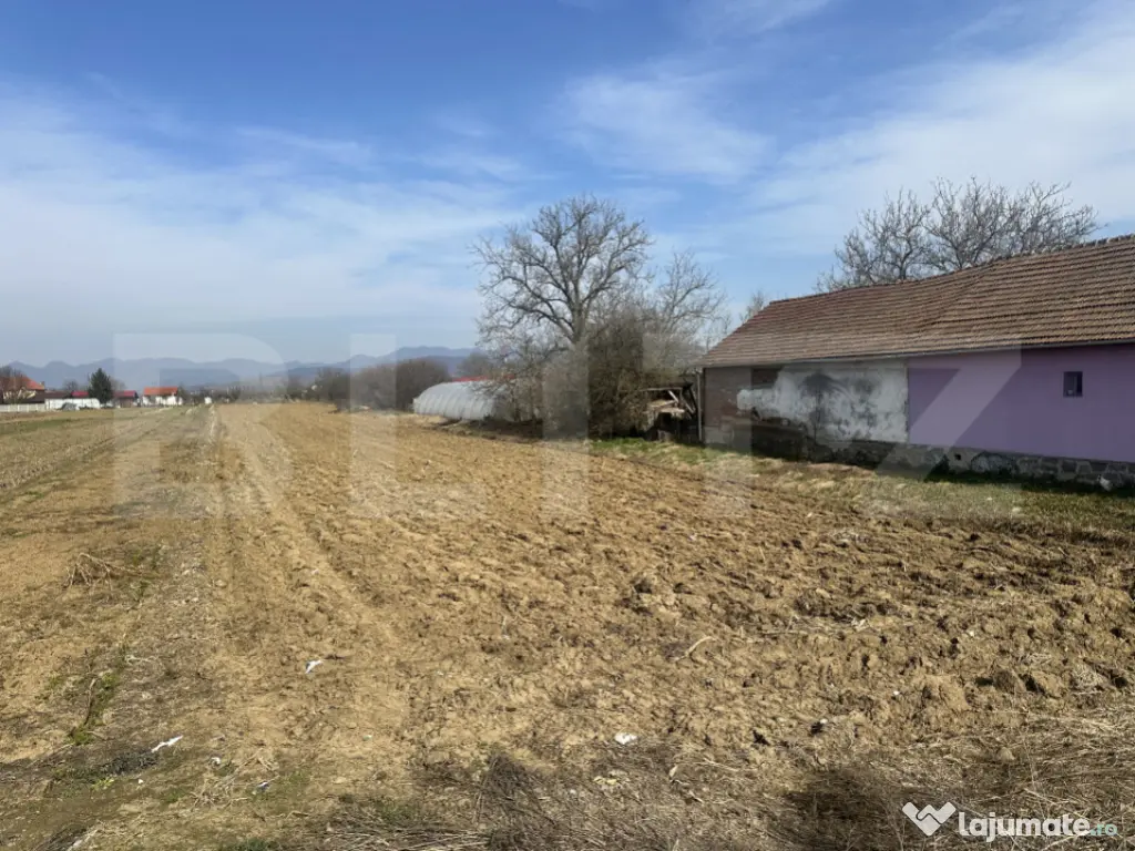 TEREN INTRAVILAN 4550 MP CU FRONT LA DN7 SANTUHALM 
