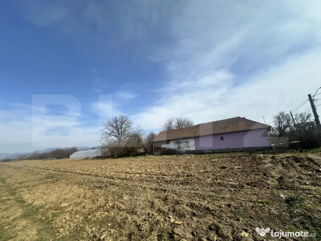 TEREN INTRAVILAN 4550 MP CU FRONT LA DN7 SANTUHALM 