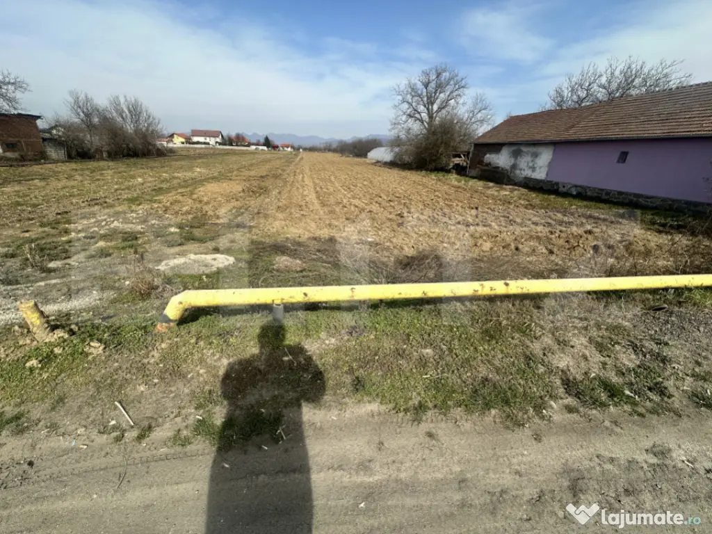 TEREN INTRAVILAN 4550 MP CU FRONT LA DN7 SANTUHALM 