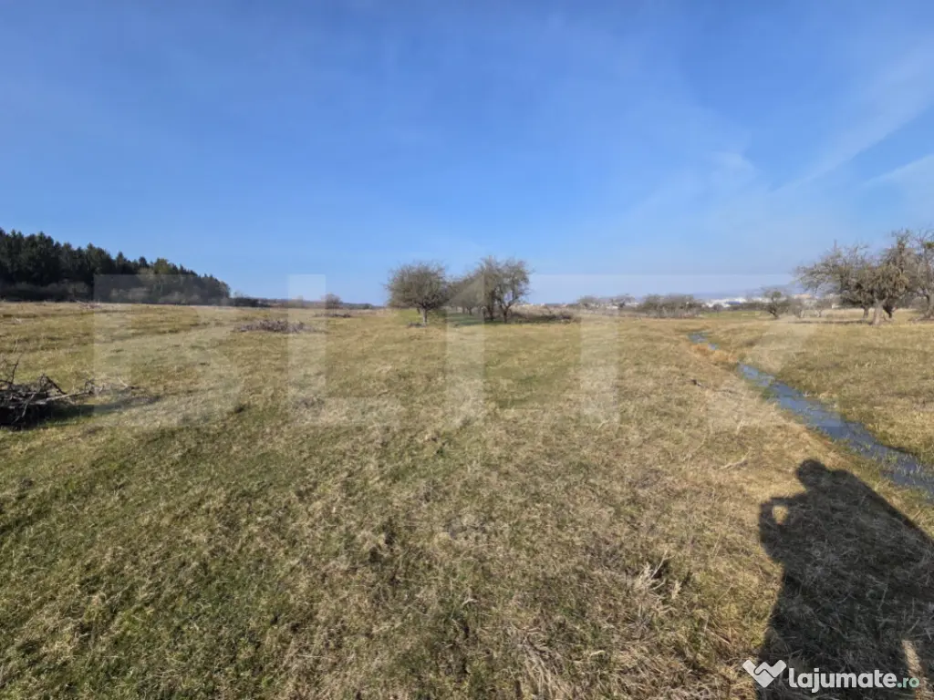 Teren intravilan de vânzare – 4.200 mp – Zona Restauran 