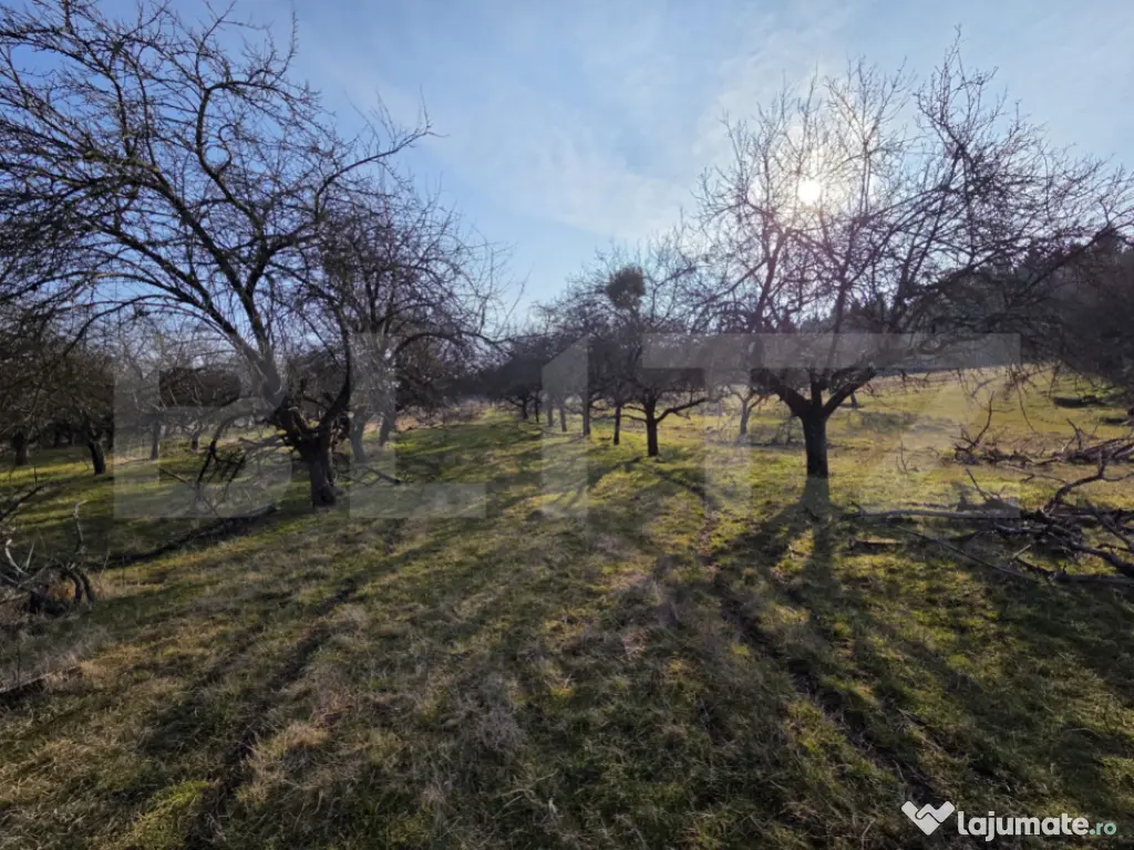 Teren intravilan de vânzare – 4.200 mp – Zona Restauran 